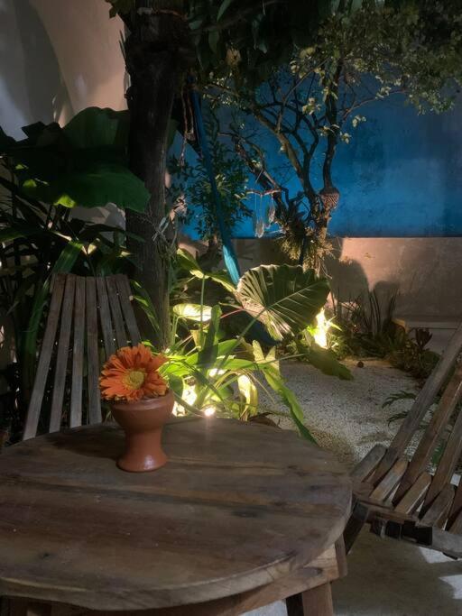 Private Full House With Pool And Cozy Patio Villa Valladolid  Eksteriør billede